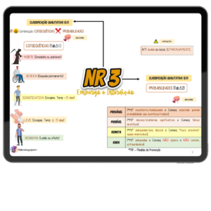 MAPA MENTAL NR 3 - EMBARGO E INTERDIÇÃO