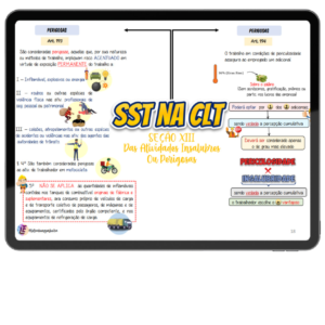 MAPA MENTAL SST NA CLT